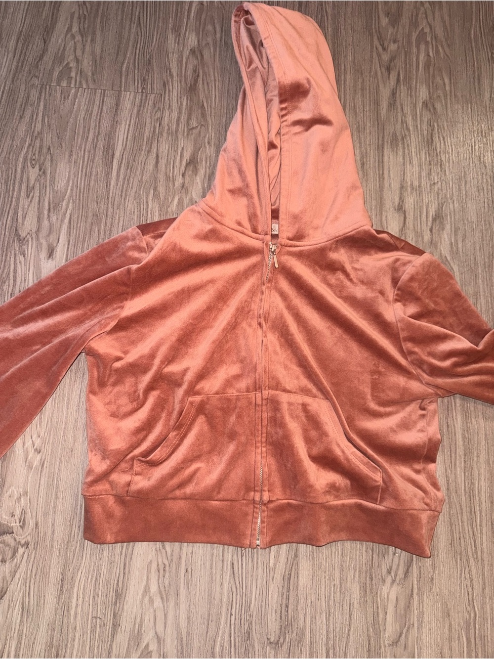BE COOL Plush Zip Hoodie in Rose Clay